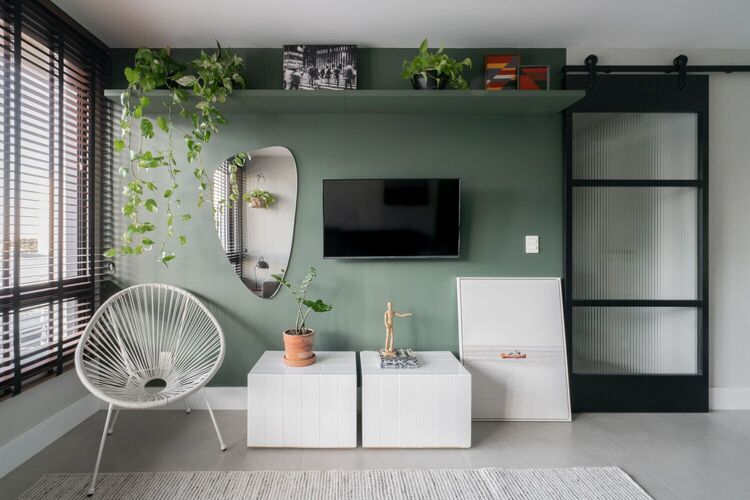 Udoban mali stan sa zelenim akcentnim zidom i zelenim biljkama